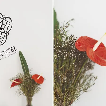 Bed & Breakfast El Jostel